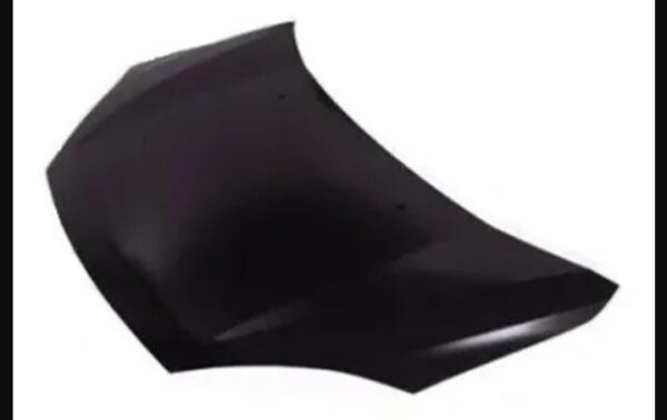 Capot Ford Fiesta 07 10