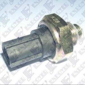 Bulbos Electro Renault Megane Clio Clio II