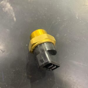 Bulbos Electro Renault 9 11 12 19 (82º-72º)