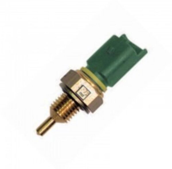 Bulbos Temperatura Peugeot 206 307